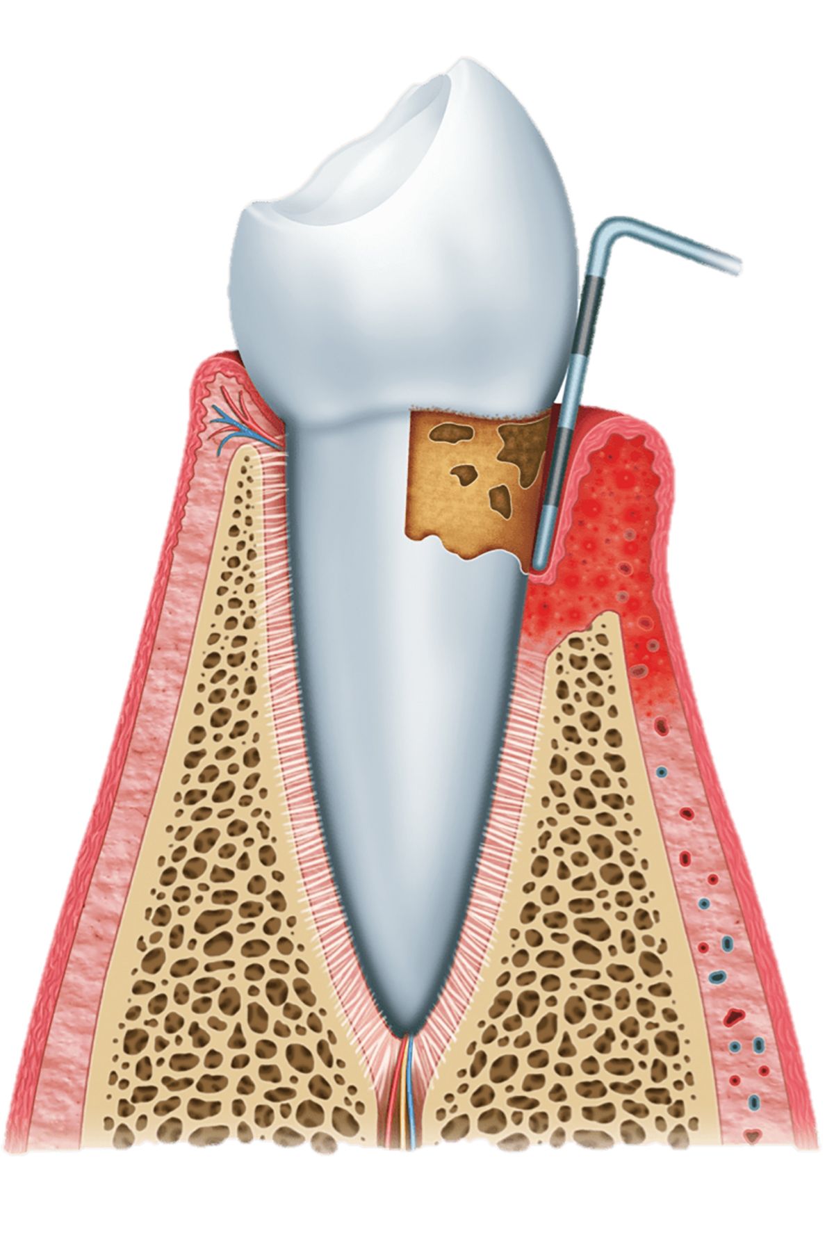 /wp-content/themes/aj-brardental/img/inner_image_15.jpg